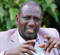 Congolese Senator Demands an Apology from William Ruto over Cow Remarks 