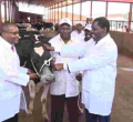 Uhuru Delivers Gift of a Special Cow to Burundi President Evariste Ndayishimiye