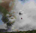 Fire Destroys 16,000 Acres of Mt Kenya Forest