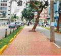 NMS to Build Pedestrian and Cycling Lanes in Nairobi Estates in Sh1.4 Billion Project 