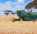 Wealthy Investors to be Given Idle Kenya Gov't Land for Large-Scale Farming 