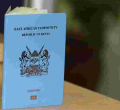 Kenya’s Passport Ranked Ninth Most Powerful in Africa 