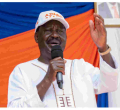 Diaspora Vote: Raila Beats Ruto in Germany and South Africa 