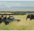 US, Uganda and UK Lead Kenya Tourist Arrivals 