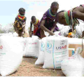 US Donates Sh23.4 Billion to Boost Kenya's Drought Relief Efforts