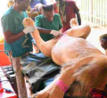 Three-Year-Old Lion Undergoes Vasectomy in Nairobi