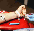 Germany to Lift Restrictions on Gay Blood Donors