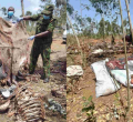 Two Arrested After Police Raid an Illegal Donkey Abattoir in Kiambu