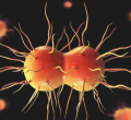 Alarm as Kenya Scientists Discover New Strains of Gonorrhea and Chlamydia