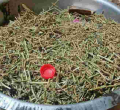 Seven Arrested Over Possession of Bhang in Nairobi 
