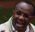 Debt Crisis: Ndii Says Azimio Wants Kenya to Go Zambian Way 
