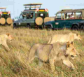 Kenya Ranked Among Top Destinations Worldwide by UK Citizens