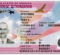 US Immigration Increases Validity Period of Some Employment Authorization Documents to 5 Years