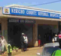 Mashujaa Day Celebrations in Kericho Turn Tragic as 4 Die in Stampede