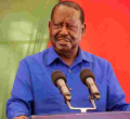 Raila Signals Interest in AU Chairmanship Role