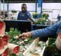 UK Suspends Tariffs on Kenyan Cut Flowers