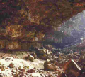 The Enigmatic Threat of Marburg Virus in Kenya's Kitum Cave