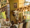 Kenyan Hotel Giraffe Manor Ranked Among the World's Top Instagrammable Hotels