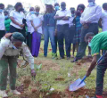 Kenya's Ambitious Plan to Plant 15 Billion Trees By 2032