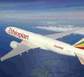 Ethiopian Airlines Addresses Public Outcry Following Viral Passenger Ejection Video 