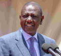 Senator Refutes Speculation of Widespread Changes in Ruto's Government
