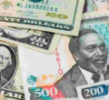 Shilling Maintains Position Against Weakening Dollar  