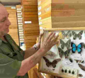 Steve Collins: Kenyan Man Who Turned Butterfly Collecting into Million-Shilling Art
