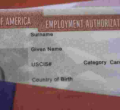 Can I Work While My Green Card is Pending?