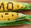 Kenya Set to Introduce GMO Maize After Public Consultation Period