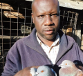 School Dropout Builds Thriving Pigeon Empire in Kenya, Attracts International Filmmakers