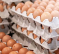 Kenya Moves to Scrap Excise Duties on Imported Eggs, Onions, and Potatoes