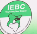Ruto, Raila Allies Among IEBC Nominees, Opposition Demands Transparency