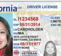 US Fully Implements Real ID Act, Restricting Undocumented Immigrants' Travel
