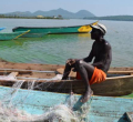 The Hidden Threat That Could Wipe Tilapia Off East African Menus