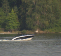 Kenyan Man Dies After Being Pulled from Lake Washington