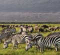 List of Proposed New Prices for Nairobi, Amboseli, Tsavo & All Other Parks