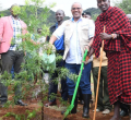 Kenya’s Ambitious Plan to Plant 15 Billion Trees by 2032