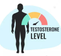 Low Testosterone in Young Men: Why You're Always Tired and Gaining Weight
