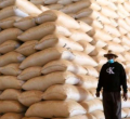 How Did Tycoons Secure Sh15 Billion Rice Import Deal?