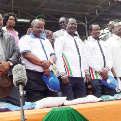 NASA Forms New Team to Spearhead August Elections