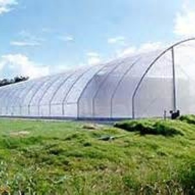 Property Firm Accused of Using Radio Presenter to Swindle Millions from Kenyans