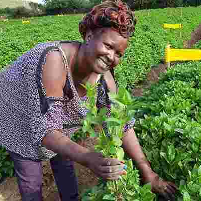 Meet Regina Mungai, a Diaspora Returnee Making a Fortune from Herbs Farming 