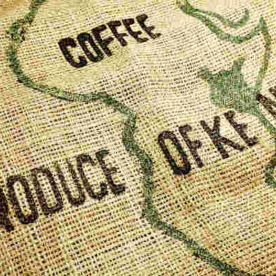 US Loses its Place as Largest Buyer of Kenya's Specialty Coffee