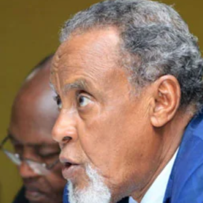 Kenyan Diaspora Makes Radical Proposals to BBI Taskforce