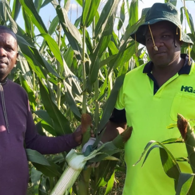 Meet Paul Irungu, a Kenyan-Born Man Making a Fortune from Growing and Selling Maize in Australia