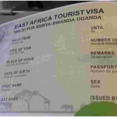 Government Warns of Cybercriminals Targeting Visitors to Kenya in e-Visa Scam 