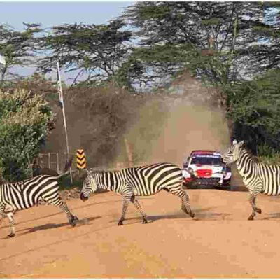 Nakuru Hotels Report 100% Bookings Courtesy of WRC Safari Rally Event