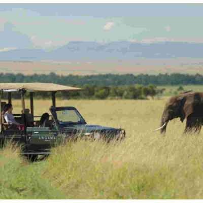 US, Uganda and UK Lead Kenya Tourist Arrivals 