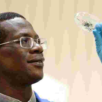 Kenyan Professor Recognized for Academic Excellence in the UK