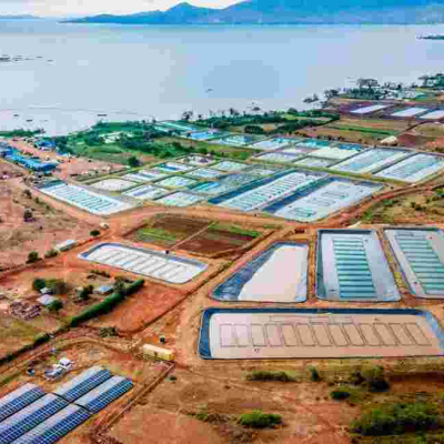 New List of Kenya's Little-Known Firms Earning Billions Revealed